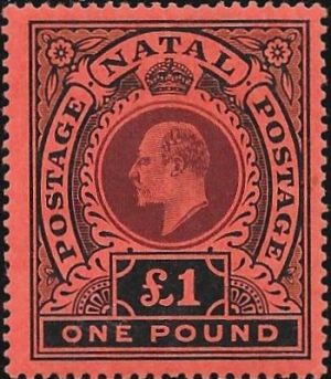 Natal: 1908-09 £1 Purple & Black/Red. SG 171 (MLH)